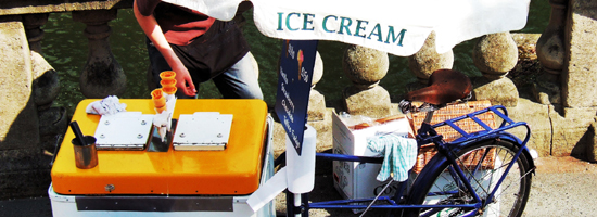 Stans Ice Cream Machine Rentals