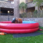 Mechanical Bull Rentals and other fun Western ideas!